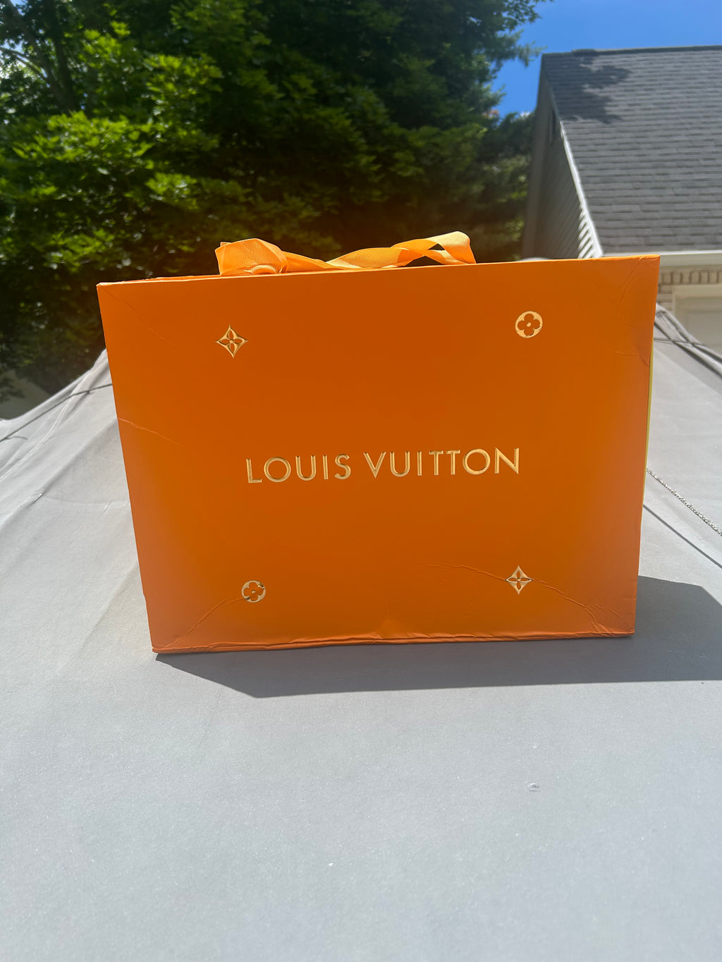 Lv Alma BB